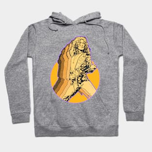 robert plant vintage art Hoodie